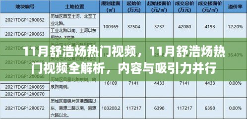 11月舒浩炀热门视频全解析，内容与吸引力的完美结合