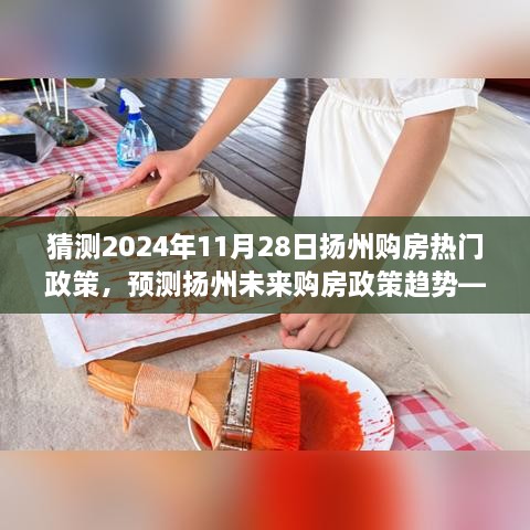 2024年扬州购房政策趋势解析，热门政策预测与未来展望（以11月28日为中心）