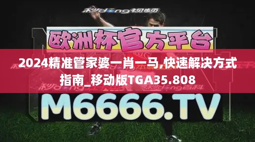 2024精准管家婆一肖一马,快速解决方式指南_移动版TGA35.808