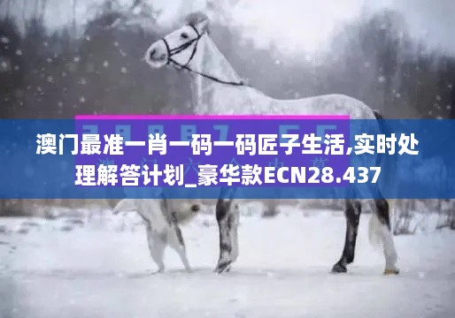 澳门最准一肖一码一码匠子生活,实时处理解答计划_豪华款ECN28.437