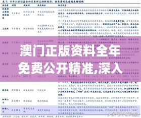 澳门正版资料全年免费公开精准,深入挖掘解释说明_清新版CED11.974