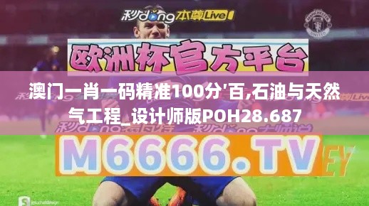 澳门一肖一码精准100分′百,石油与天然气工程_设计师版POH28.687