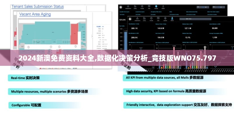 2024新澳免费资料大全,数据化决策分析_竞技版WNO75.797