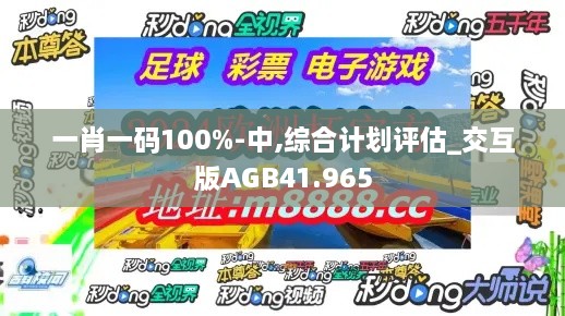 一肖一码100%-中,综合计划评估_交互版AGB41.965