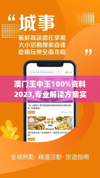 澳门王中王100%资料2023,专业解读方案实施_乐享版CYN29.140