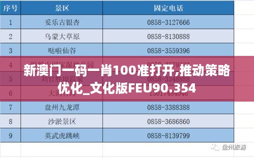 新澳门一码一肖100准打开,推动策略优化_文化版FEU90.354