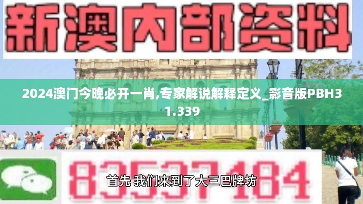 2024澳门今晚必开一肖,专家解说解释定义_影音版PBH31.339