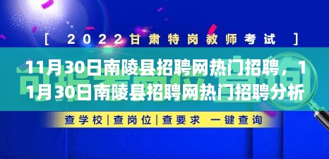 11月30日南陵县招聘网热门招聘现象深度解析，影响与观点探讨