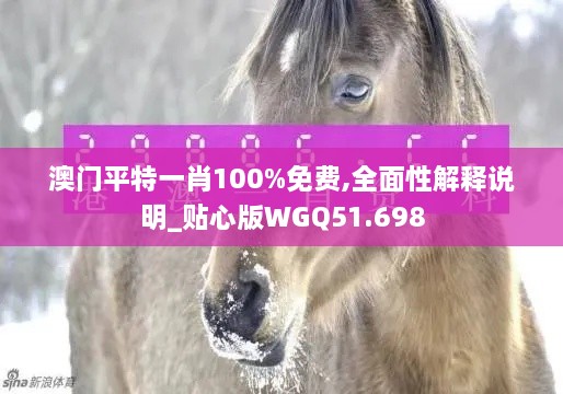 澳门平特一肖100%免费,全面性解释说明_贴心版WGQ51.698