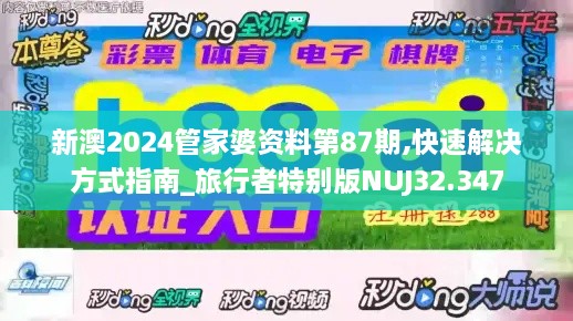 新澳2024管家婆资料第87期,快速解决方式指南_旅行者特别版NUJ32.347