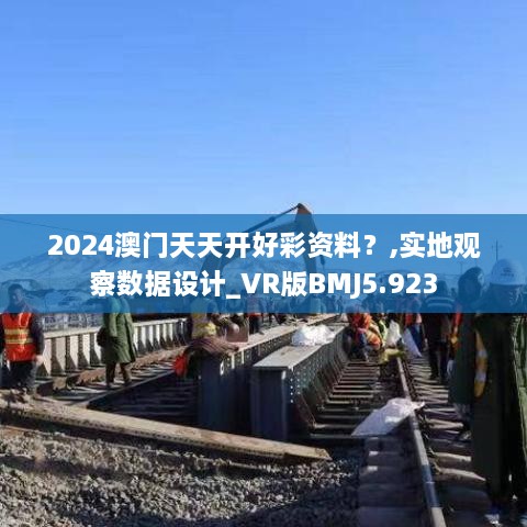 2024澳门天天开好彩资料？,实地观察数据设计_VR版BMJ5.923