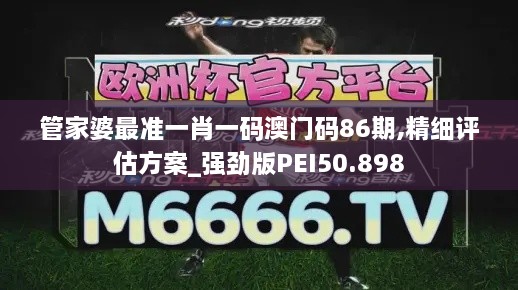 管家婆最准一肖一码澳门码86期,精细评估方案_强劲版PEI50.898