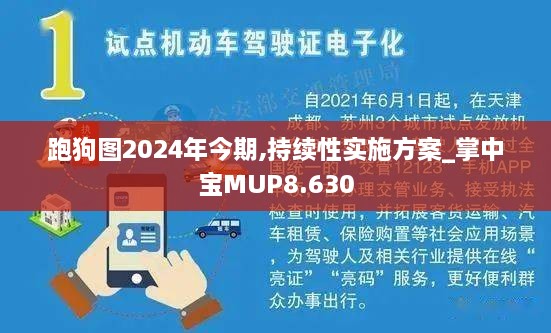 跑狗图2024年今期,持续性实施方案_掌中宝MUP8.630