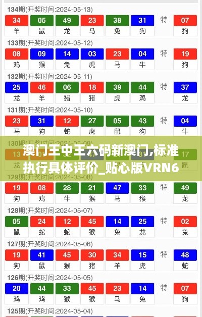 澳门王中王六码新澳门,标准执行具体评价_贴心版VRN62.248