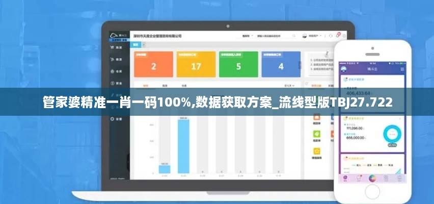 管家婆精准一肖一码100%,数据获取方案_流线型版TBJ27.722