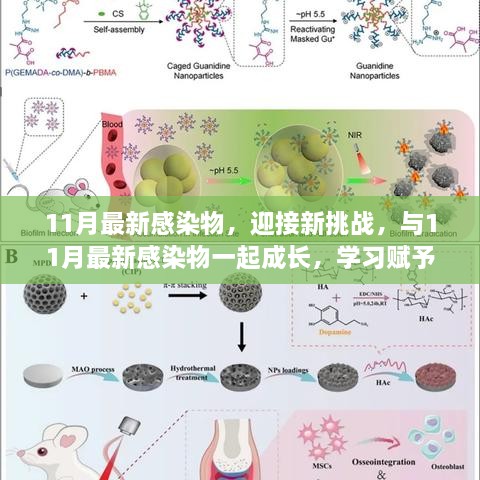 与11月最新感染物共成长，学习赋予的力量与自信挑战