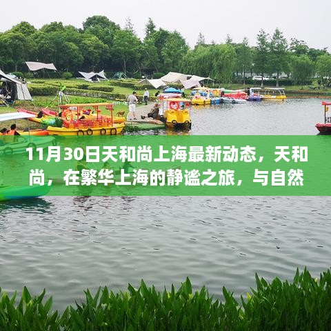 天和尚上海最新动态，繁华中的静谧之旅与大自然的不解之缘