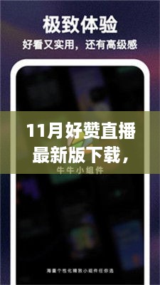 11月热门直播最新版下载，探索神秘小巷，体验特色小店的直播盛宴