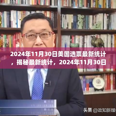 揭秘最新统计，美国选票动向概览（2024年11月30日更新）