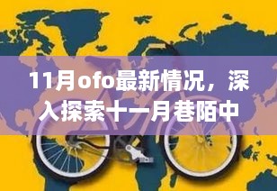 深入探索十一月巷陌中的Ofo最新动态与独特美食之旅