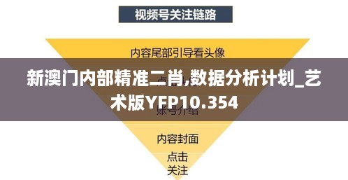 新澳门内部精准二肖,数据分析计划_艺术版YFP10.354