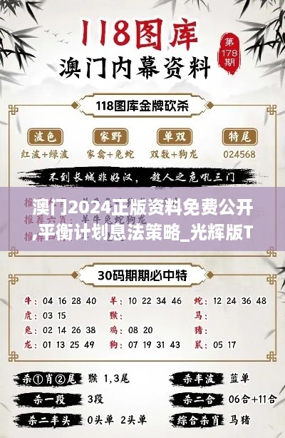 澳门2024正版资料免费公开,平衡计划息法策略_光辉版TEK81.489