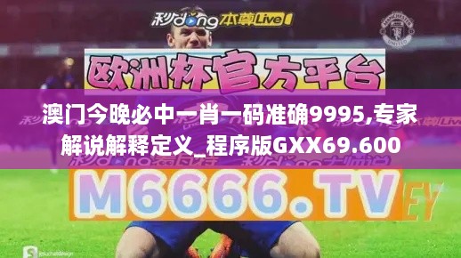 澳门今晚必中一肖一码准确9995,专家解说解释定义_程序版GXX69.600