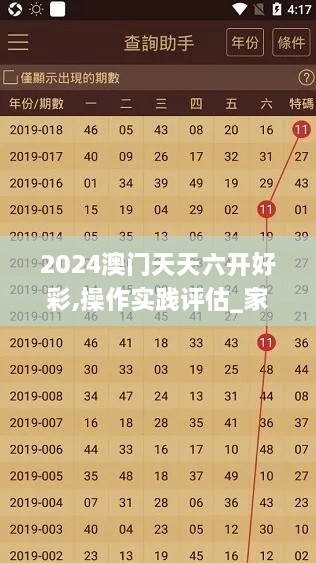 2024澳门天天六开好彩,操作实践评估_家庭版OXQ56.411