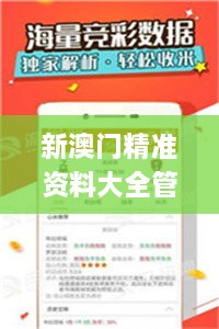 新澳门精准资料大全管家婆料,数据详解说明_安全版OBZ33.330