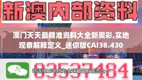 澳门天天最精准资料大全新奥彩,实地观察解释定义_迷你版CAI38.430