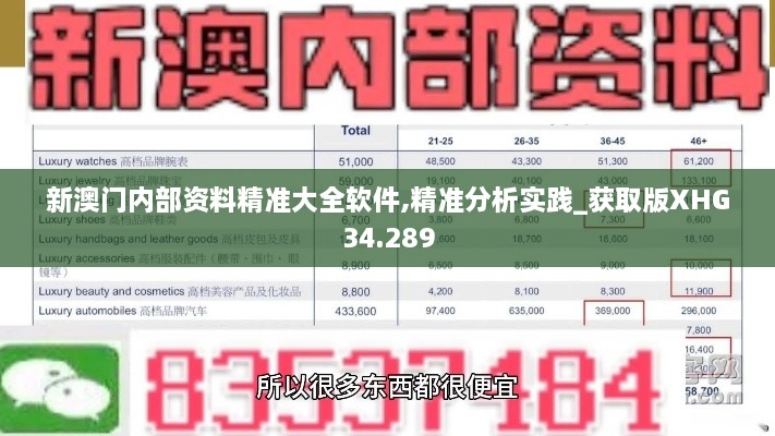 新澳门内部资料精准大全软件,精准分析实践_获取版XHG34.289