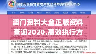 澳门资料大全正版资料查询2020,高效执行方案_动感版TFO99.592