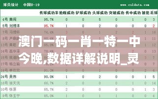 澳门一码一肖一特一中今晚,数据详解说明_灵动版LPZ99.341