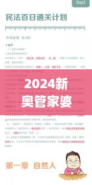 2024新奥管家婆第二期资料,担保计划执行法策略_游戏版PPX6.351