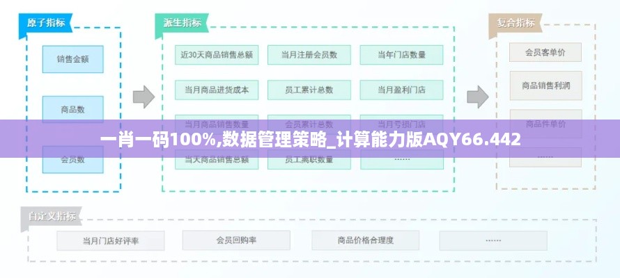 一肖一码100%,数据管理策略_计算能力版AQY66.442