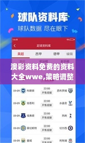 澳彩资料免费的资料大全wwe,策略调整改进_运动版BOT1.304