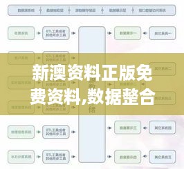 新澳资料正版免费资料,数据整合决策_潮流版SGH24.352