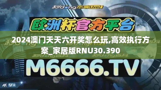 2024澳门天天六开奖怎么玩,高效执行方案_家居版RNU30.390