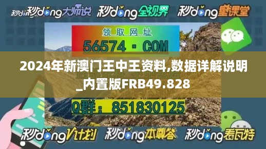 2024年新澳门王中王资料,数据详解说明_内置版FRB49.828