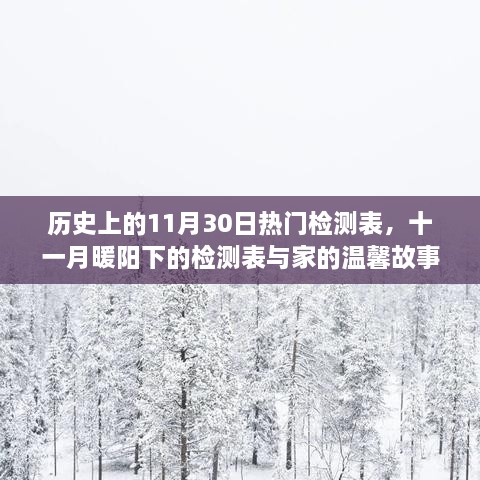 十一月暖阳下的检测表与家的温馨故事回顾，历史上的重要时刻与温馨故事盘点