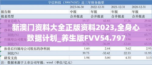 新澳门资料大全正版资料2023,全身心数据计划_养生版FVV54.797