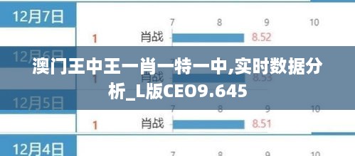 澳门王中王一肖一特一中,实时数据分析_L版CEO9.645