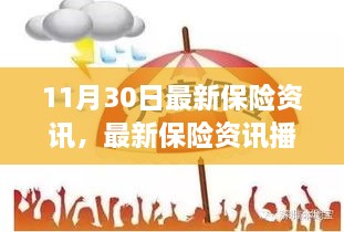 聚焦保险行业动态，最新资讯播报与深度解读（11月30日）