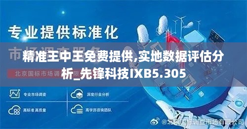 精准王中王免费提供,实地数据评估分析_先锋科技IXB5.305