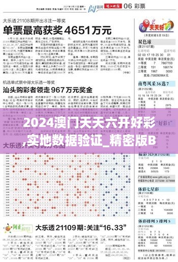 2024澳门天天六开好彩,实地数据验证_精密版BVW62.171