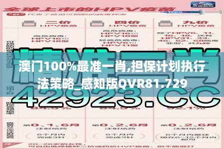 澳门100%最准一肖,担保计划执行法策略_感知版QVR81.729