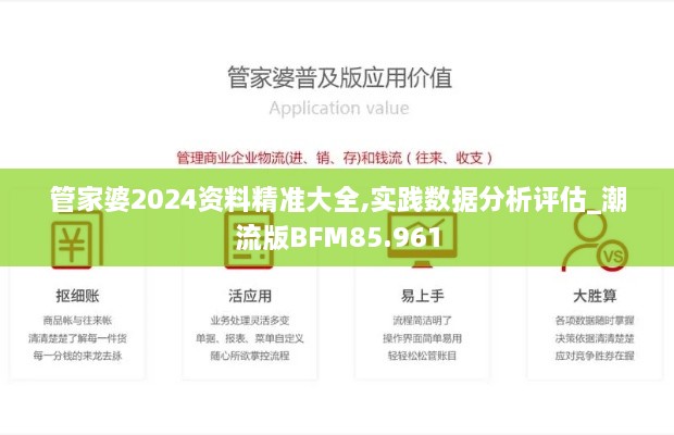 管家婆2024资料精准大全,实践数据分析评估_潮流版BFM85.961