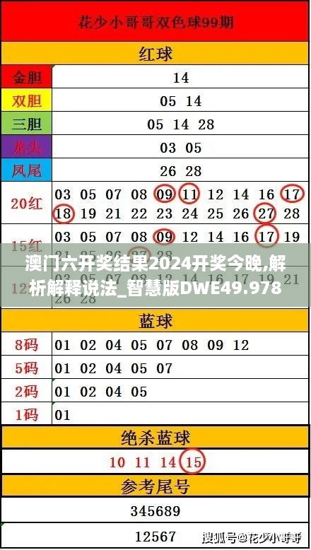 澳门六开奖结果2024开奖今晚,解析解释说法_智慧版DWE49.978