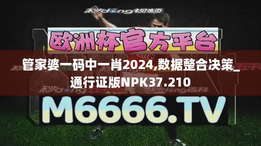 管家婆一码中一肖2024,数据整合决策_通行证版NPK37.210