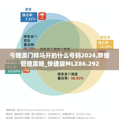 今晚澳门特马开的什么号码2024,数据管理策略_快捷版MLZ86.292